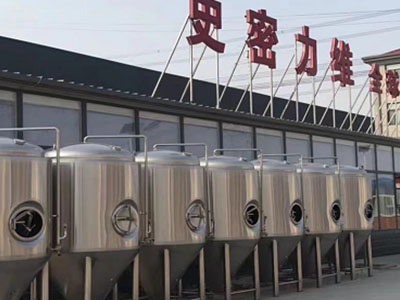 民权精酿啤酒设备厂—市场规模与跨界新需求